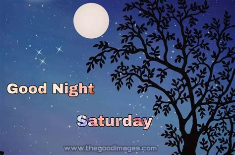 good night night images|saturday night good night images.